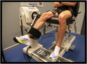 Testing quadriceps